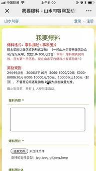 爆料新闻有没有奖励,揭秘者奖励大揭秘 第3张 爆料新闻有没有奖励,揭秘者奖励大揭秘 第3张