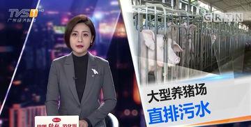 今日一线会爆料,揭秘娱乐圈惊人内幕 第1张 今日一线会爆料,揭秘娱乐圈惊人内幕 第1张